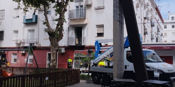 El Ayuntamiento avanza en la renovación del arbolado de Cerámicas Mensaque tras iniciar la reposición con cuatro nuevas tipuanas