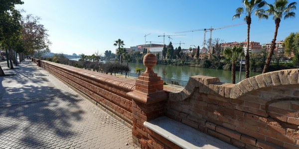 El Ayuntamiento avanza en los trabajos para la recuperación integral de los bancos del Paseo de las Delicias