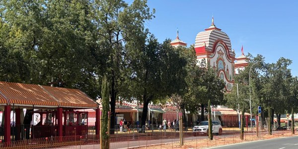 El Ayuntamiento culmina la plantación del arbolado en la mediana de la avenida Presidente Adolfo Suárez y avanza en la instalación del riego