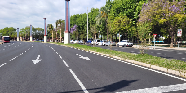El Ayuntamiento finaliza las obras de reajardinamiento de la mediana de Torneo y Concejal Jiménez-Becerril dentro del plan municipal de recuperación de medianas