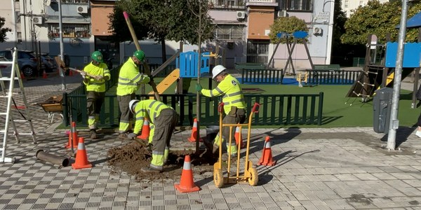 El Ayuntamiento impulsa más de 300 nuevas plantaciones en Cerro-Amate con actuaciones destacadas en Hacienda de San Antonio y en la calle Salvador Távora