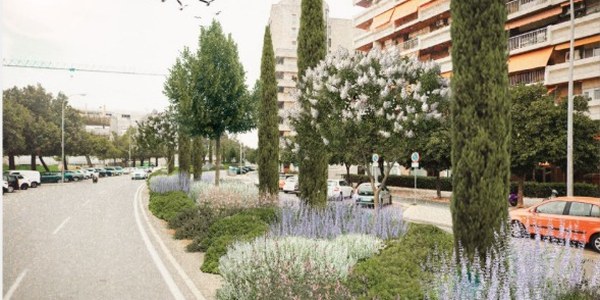 El Ayuntamiento inicia la restauración paisajística de la mediana de la avenida Presidente Adolfo Suárez dentro del plan municipal de mejora de medianas