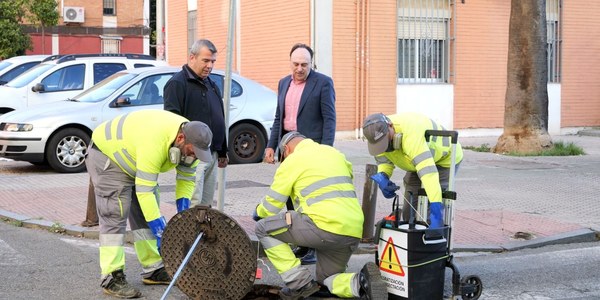 El Ayuntamiento licita un nuevo contrato para el refuerzo del servicio de desratización y control de plagas por 500.000 €