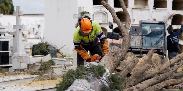 El Ayuntamiento mantiene el cierre parcial del Cementerio mientras continúan los trabajos de retirada y aseguramiento del arbolado afectado por el temporal