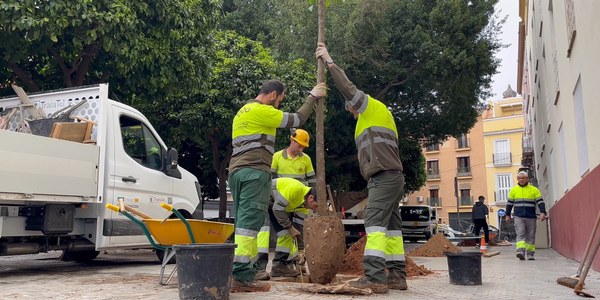 El Ayuntamiento refuerza el patrimonio verde del Casco Antiguo con más de 230 nuevas plantaciones