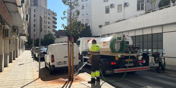 El Ayuntamiento refuerza el riego del arbolado en Los Remedios durante los meses de mayor calor
