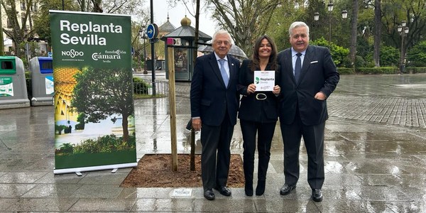 El Ayuntamiento y la Fundación Cámara de Comercio reconocen a Grupo Martín Casillas y Grupo Integra por su aportación al proyecto Replanta Sevilla