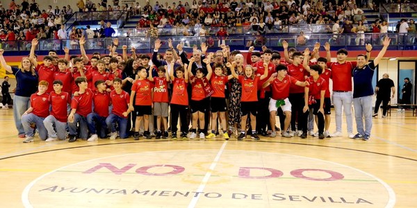 El Cajasol Sevilla BM Proin hace historia al convertirse en el primer equipo sevillano en ascender a la máxima categoría del balonmano español