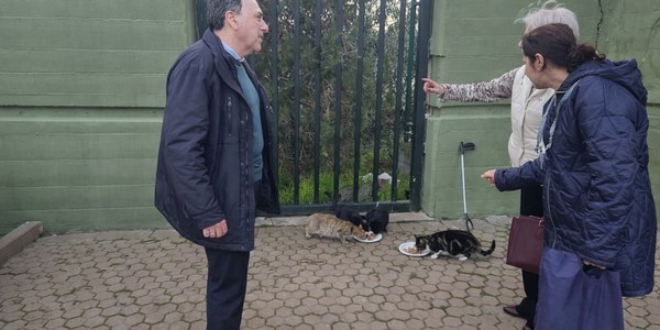 El Gobierno de Sanz avanza en la gestión de las colonias felinas con la puesta en marcha del servicio clínico veterinario de esterilización