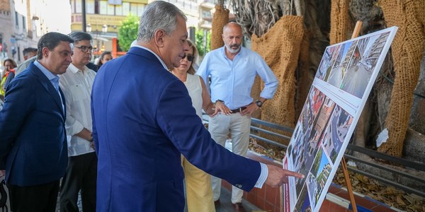 El Gobierno de Sanz incorporará cerca de 60 nuevos árboles y arbustos en Imagen y José Laguillo para transformar este eje del Casco Antiguo con la puesta en marcha integral de la línea TB1