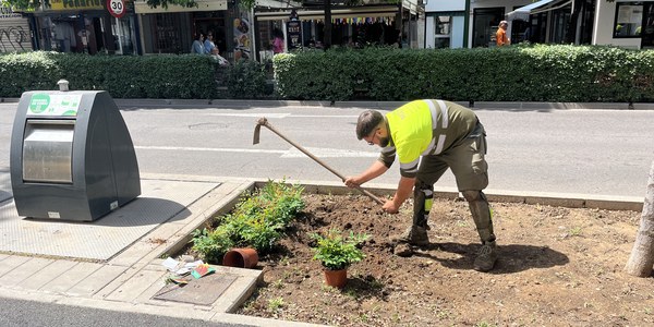 El Gobierno municipal refuerza las zonas verdes de la calle Greco con más de 1400 nuevas plantaciones arbustivas