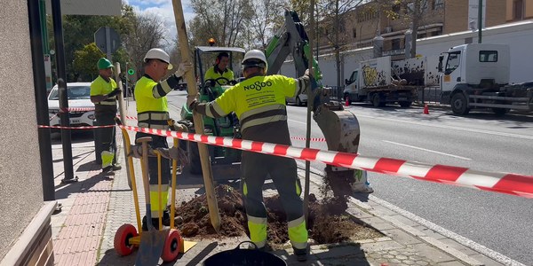 La campaña de plantación municipal del Distrito Sur suma cerca de 600 árboles entre calles y zonas verdes