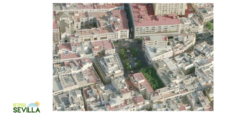 Copia de Proyecto de reurbanización Plaza de la Magdalena (2).png