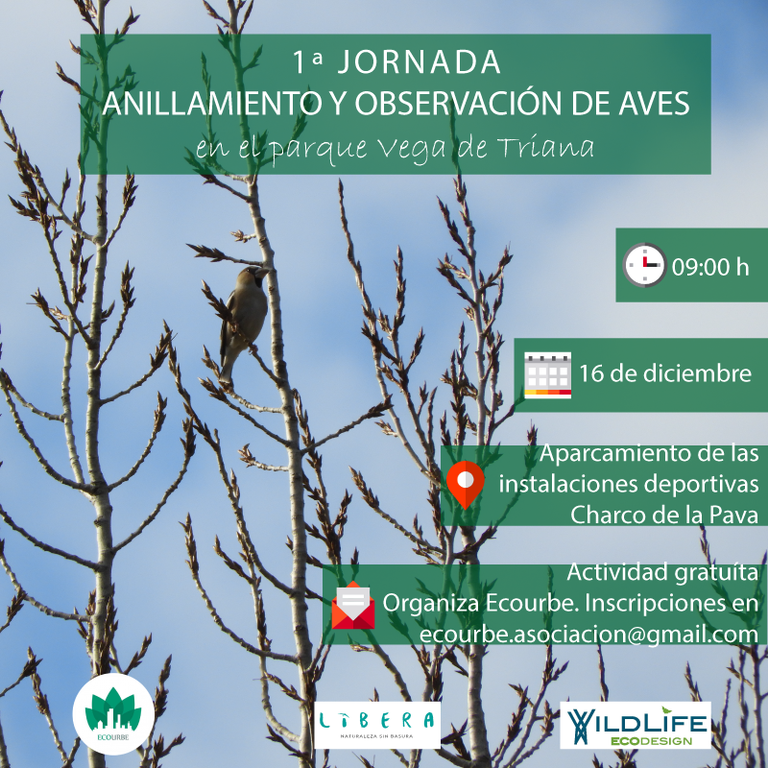 1-Jornada-vega-de-triana.png