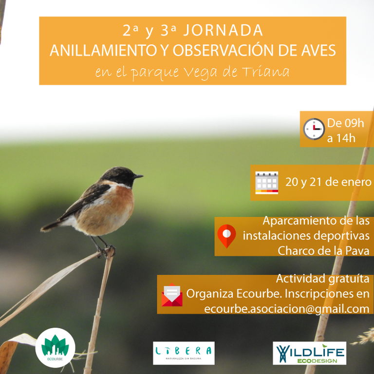 2y3-Jornada-vega-de-triana.png