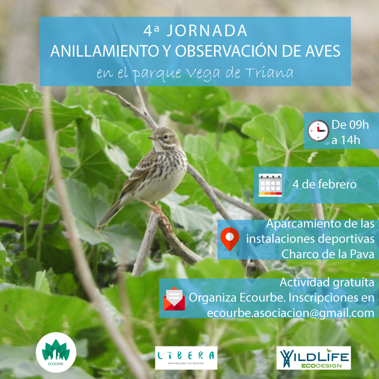 4.2-Jornada-vega-de-triana.png