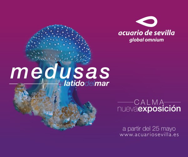 DdujhFdV4AAA517.jpg