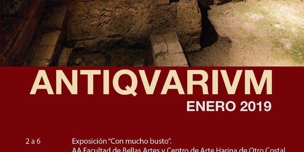Programación Antiquarium - Enero 2019