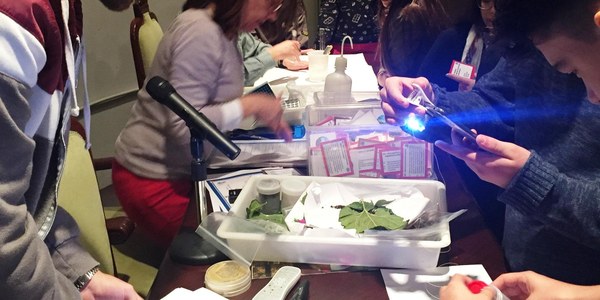 Semana de la Ciencia y Tecnología en Andalucía