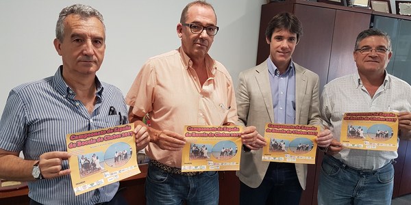 (05/07/2017) Sevilla acoge el Campeonato de  España de Boccia de Clubes entre  el 6 y el 9 de julio