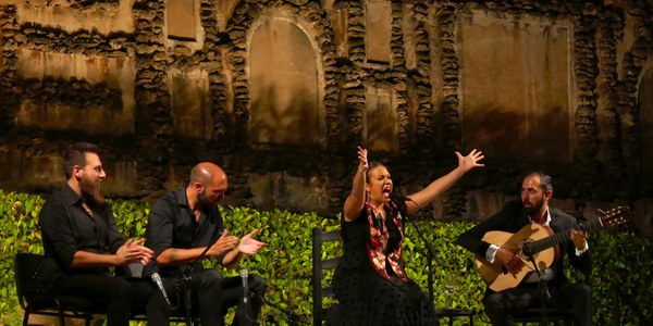 (14/08/2017) Más de 21.800 personas ya han asistido a Noches en los Jardines del Real Alcázar, superada su novena semana de conciertos