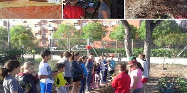 (14/6/2017) El Ayuntamiento pone en marcha campamentos urbanos de verano en los huertos de Sevilla