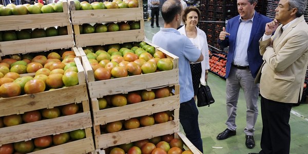 (25/8/2017) Mercasevilla crece en facturación y en kilos de alimentos comercializados y refuerza su apuesta por la recogida selectiva