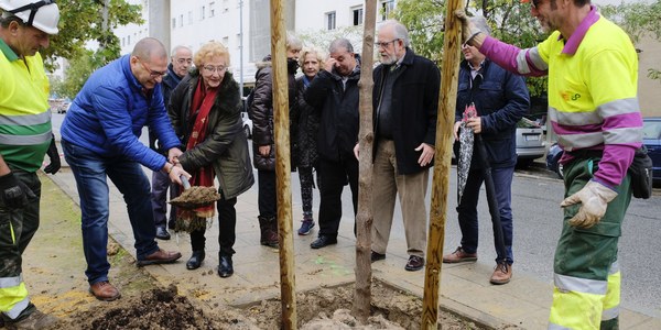 Comienza el programa de plantaciones en Los Bermejales con 11 árboles en la Avenida de Finlandia