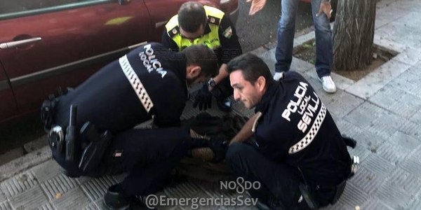 Efectivos de un dispositivo municipal integrado por efectivos de la Policía Local, Bomberos, Zoosanitario y Cecop recuperan un buitre leonado en la zona norte de la ciudad
