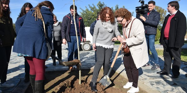 El Ayuntamiento continúa con la plantación de arbolado en el Parque del Tamarguillo junto a la Asociación Paz y Bien