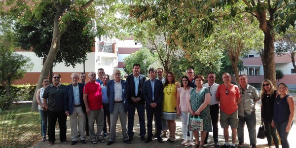 El Ayuntamiento culmina en la barriada de La Oliva del distrito Sur el primer expediente de recepción del arbolado de una zona privada de uso público para mejorar su conservación y mantenimiento