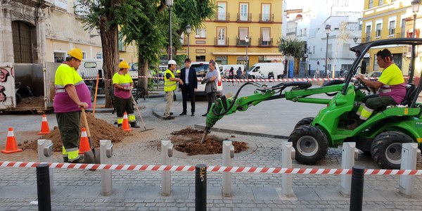 El Ayuntamiento inicia los trabajos previos a la plantación de los nuevos árboles de la Plaza del Pumarejo
