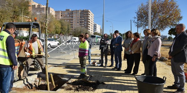 El Ayuntamiento planta 40 árboles de sombra en la Avenida Flota de Indias