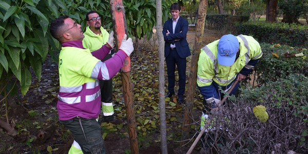 El Ayuntamiento planta 44 árboles en los Jardines del Valle dentro de la campaña de 5.100 nuevos ejemplares y 4.500 arbustos para Sevillas