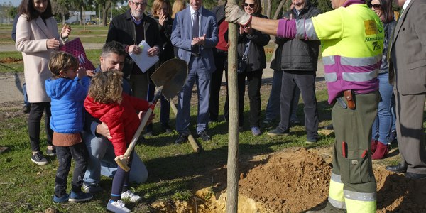El Ayuntamiento planta 60 tipuanas en la ampliación del Parque Guadaíra dentro de la campaña de 5.100 nuevos árboles y 4.500 arbustos