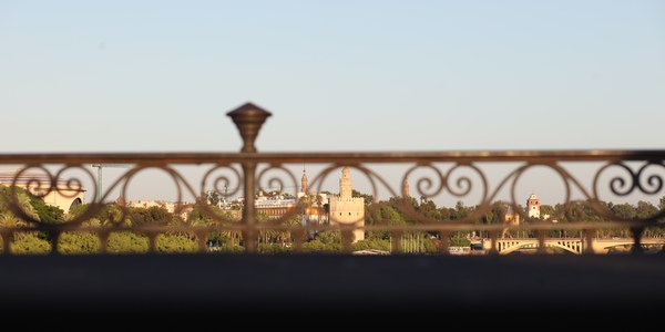 El Casco Antiguo y el área de Triana comprendida entre Betis, San Jacinto, Altozano y Pureza son declaradas áreas de gran afluencia turística durante los próximos cuatro años