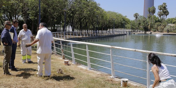 El Jardín Americano reabre hoy  tras la recuperación de su lago y cascadas y la ejecución de podas y desbroces y con un adecentamiento generalizado y más papeleras