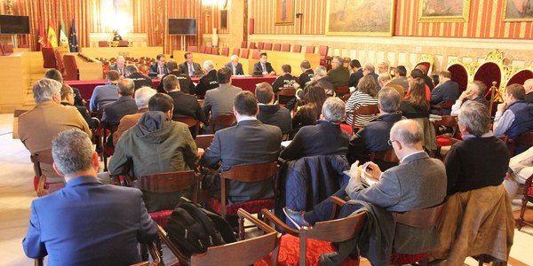El Lunes Santo se cierra con  una afluencia récord de público,  sin incidencias graves y con  más de 800 actuaciones del  dispositivo conjunto de policía