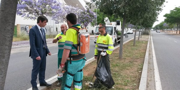 El plan municipal para el desbroce y limpieza de zonas ajardinadas, solares y alcorques tras los  meses de lluvia suma ya casi 2.000 intervenciones y más de  160 personas en el dispositivo