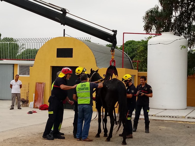 Foto Zoosanitario y Bomberos (2).jpeg