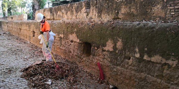 Limpieza y desbroces en los alrededores de la Muralla de la Macarena y en el propio monumento