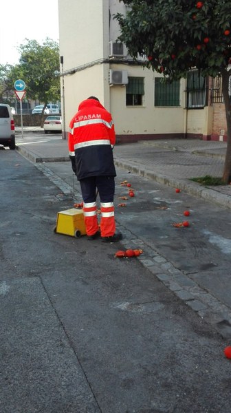 Lipasam 2 (1).jpg
