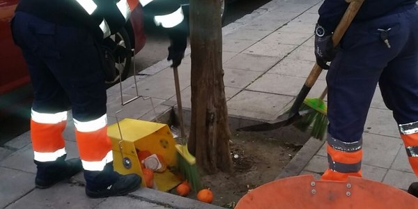 Lipasam inicia las tareas de refuerzo de la recogida de la naranja con la contratación extraordinaria de 46 personas que complementarán los trabajos de Parques y Jardines en el viario público