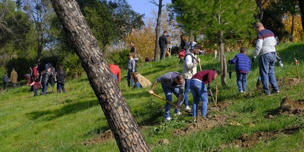 El Muro de Defensa contará con 500 nuevos árboles de pequeño porte y 500 arbustos gracias a la plantación forestal realizada por la plantilla de la empresa GRI en colaboración con el Ayuntamiento
