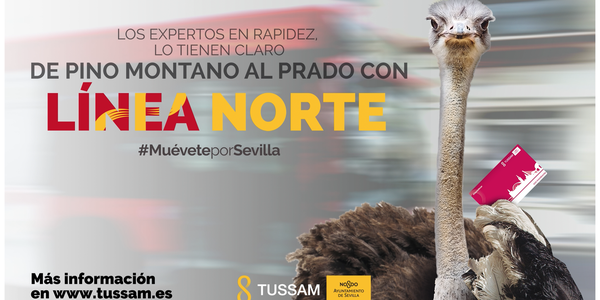 El lunes se pone en marcha la nueva línea Norte que unirá de forma directa Pino Montano con Santa Justa, Nervión, San Bernardo y el Prado