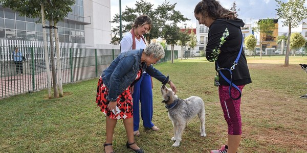 Nueva zona de ocio canino construida con material antivandálico en el Parque de la Ranilla del Distrito Nervión