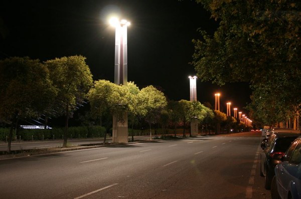 Proyectotes 2.JPG