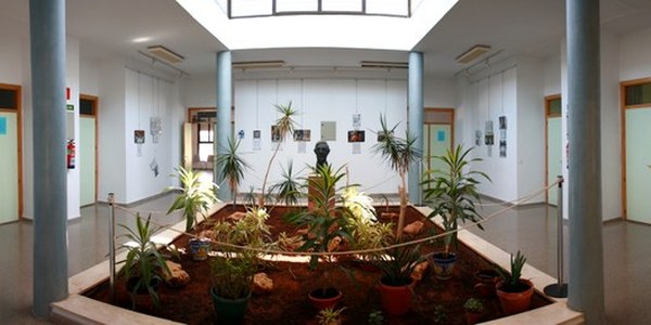 EXPOSICIÓN ANTOLÓGICA DEL COLECTIVO Nº1