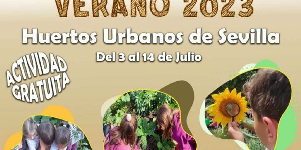 Campamento de Verano 2023