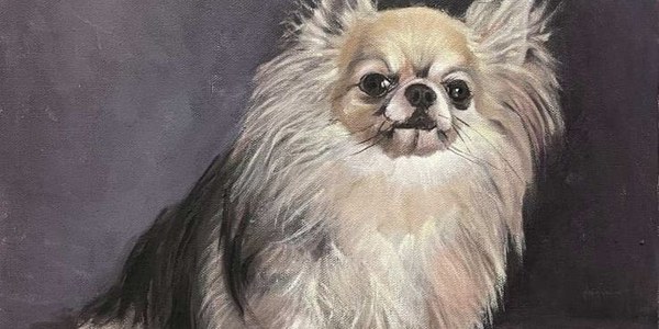 Exposición de pintura y dibujo